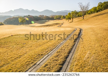 Rural path across autumn golden grass field.