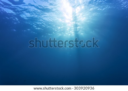Underwater shot with sun ray and fishes in deep tropical sea.