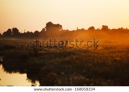 Sunset landscape in the countryside with human silhouettes, goats and horses