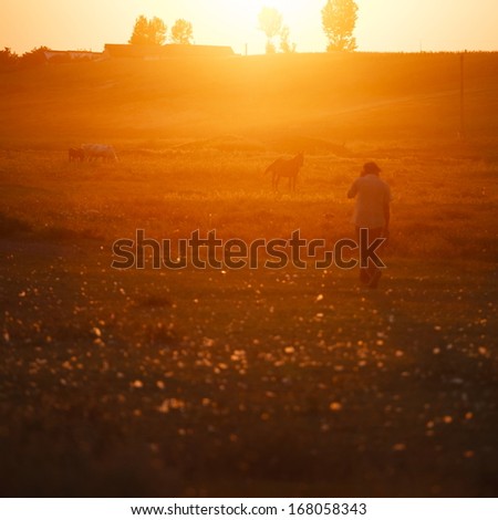 Sunset landscape in the countryside with human silhouette and horses