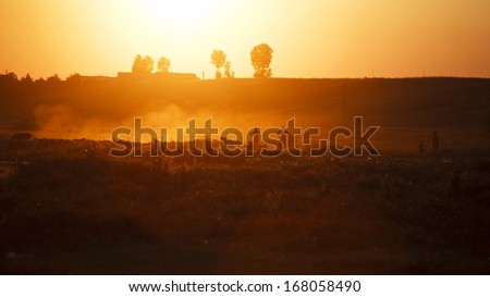 Sunset landscape in the countryside with human silhouettes, goats and horses