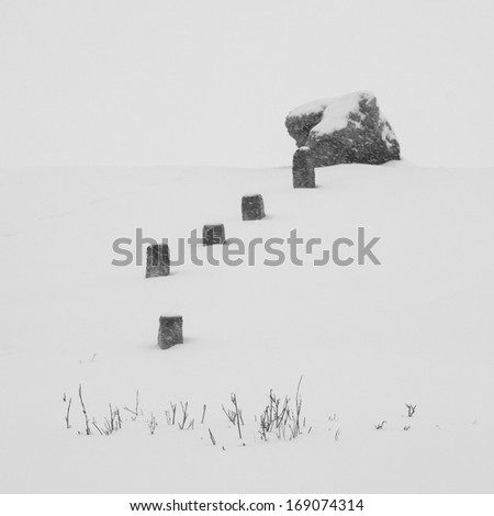 Winter landscape with rocks and dried plants
