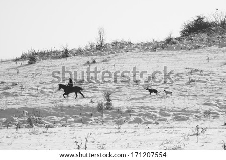 Winter landscape with horse and rider and dog in the field