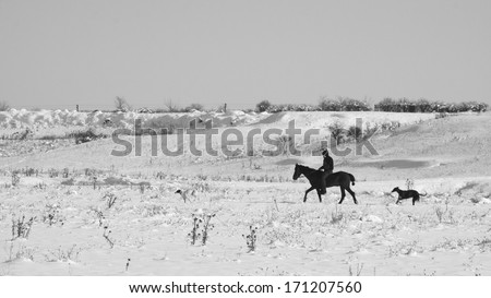 Winter landscape with horse and rider and dog in the field