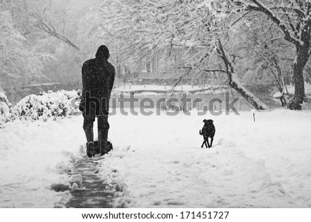 Snowing landscape in the park with person cleaning the alleys and dog. Snowing makes a lovely grain-like texture