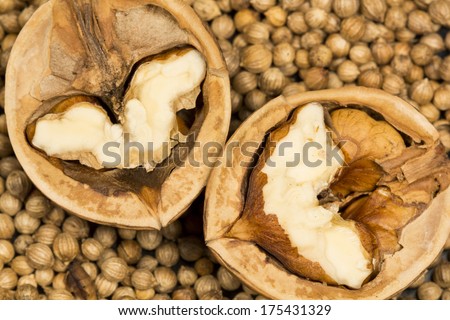 Coriander seeds with halves of walnut