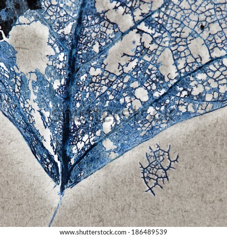 Abstract composition with rotten leaves with fibers texture and inverted colors - blue filigree abstract