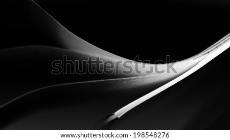 Black paper shapes and shadows with black paper background