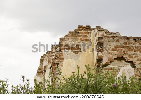 Parts of a ruined house - different textures and herbs with dramatic sky
