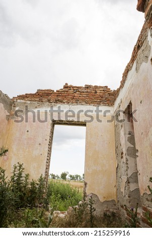 Parts of a ruined house with dramatic sky - different textures and herbs