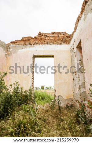 Parts of a ruined house with dramatic sky - different textures and herbs