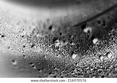 Abstract underwater composition with bubbles, lines and light