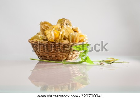 Physalis peruviana fruits in a basket and green plant with light grey background and reflexions