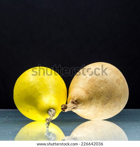 Old and new pear shaped pumpkins with dark background