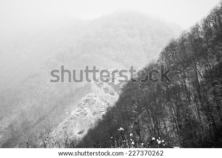 Winter mountain landscape. Black and white photography