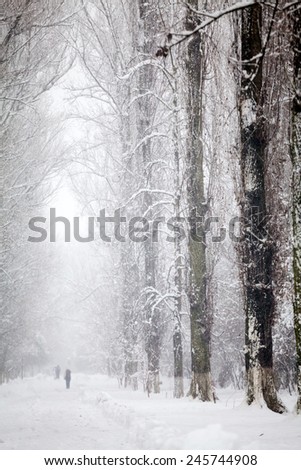 Snowing landscape in the park with people passing by