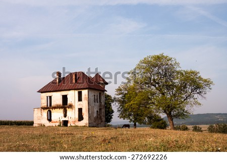 Old, abandoned, ruined house in the field with trees and herbs
