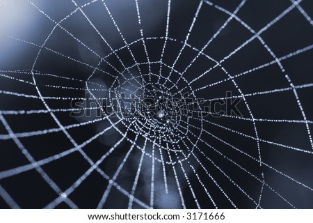 stock-photo-spider-web-with-dew-drops-symbolizing-internet-3171666.jpg