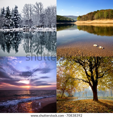 Four season collage