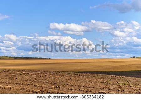Summer Rural Landscape: Wheat Field, Plough-Land and Blue Sky with White Clouds