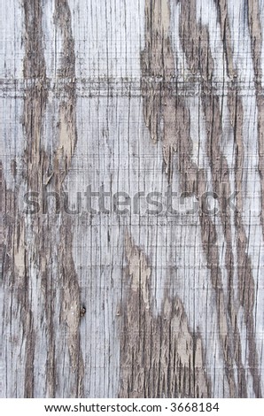 Close-up of old and neglected fence panel in need of repair