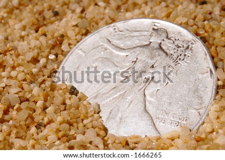 Silver dollar peeks out of the sand inviting the keen eyed beachcomber