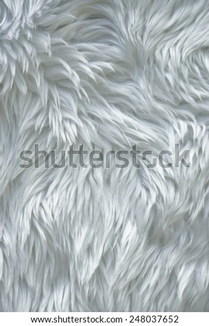 Close up white fur texture