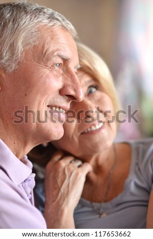 happy beautiful elderly couple posing in the room