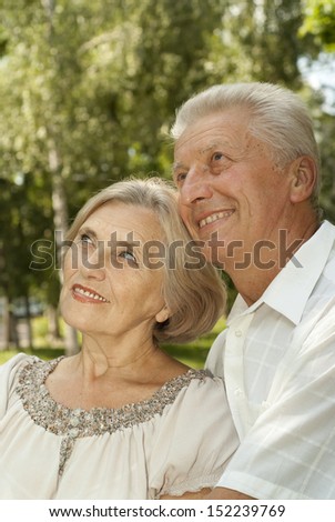 Beauteous elderly couple went for a walk in the park on a summer day