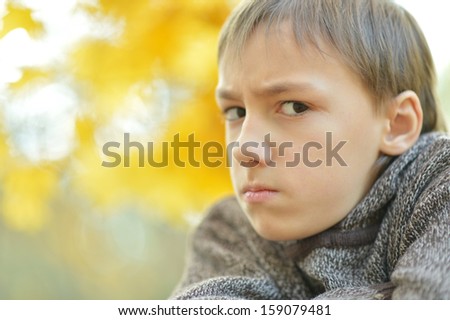 young boy on walk in autumn park