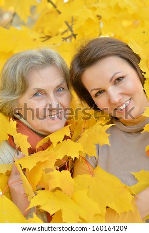 Mom and daughter for a walk during the fall of the leaves in the park