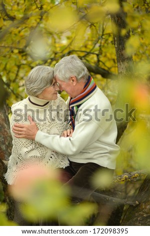 Happy senior couple in autumn park
