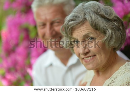 Portrait of a happy senior couple in summer outside