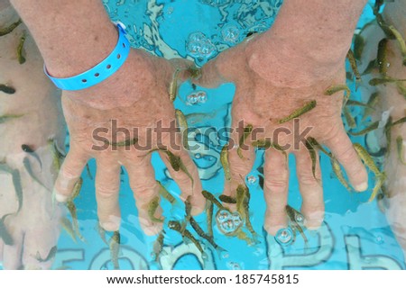 Fish spa skin treatment for hands and feet