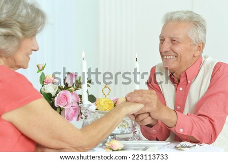 Portrait of beautiful elderly couple on date