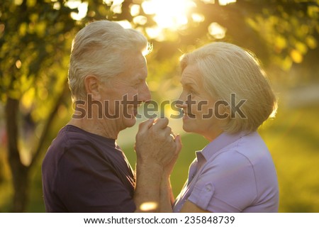 Happy elderly couple at nature on sunset background
