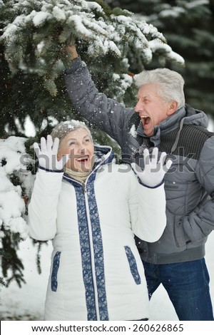 Portrait of a happy senior couple in winter outdoors