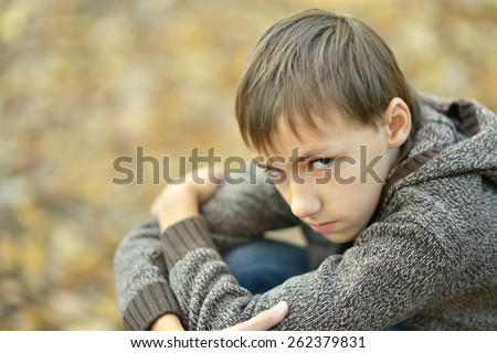 Portrait of a happy little sad boy in autumn park