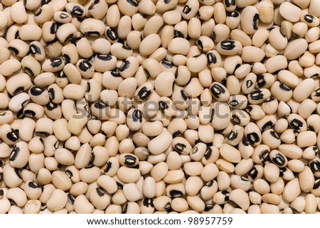 background  of  white bean grains in India