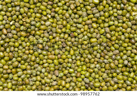 background  of  green mash grains in India