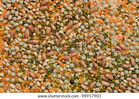 Variety of pulses essential for human life: beans, peas, lentils, rice