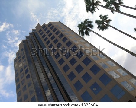 office tower and palm trees
