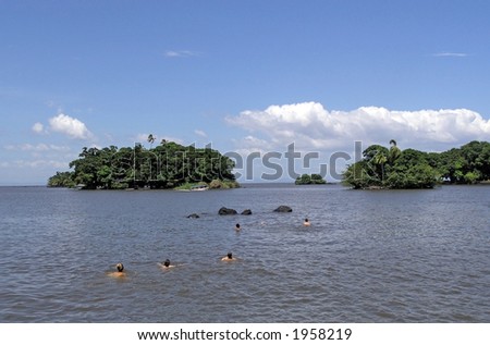 Images Of People Swimming. stock photo : people swimming