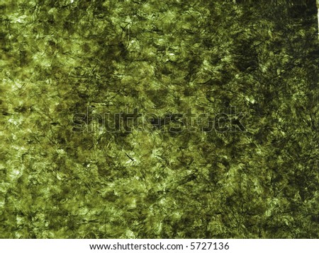 seaweed background