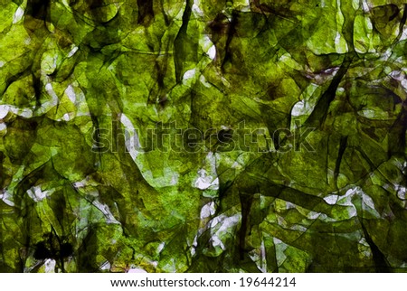 dried seaweed background