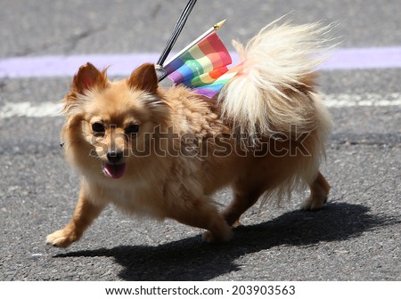 NEW YORK CITY  JUNE 29 : dog marching for gay rights at The Gay Pride parade 2014 in New York city, USA, JUNE 29, 2014