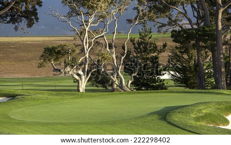 PEBBLE BEACH, CALIFORNIA - SEPTEMBER 27, 2014 : The public golf course of Pebble Beach, near Monterey, California, USA,   september 27, 2014,  in  Monterey, California, USA