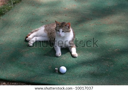Cat at practice, Golf European Challenge Tour 2007, Riva dei Tessali, Metaponto, Italy