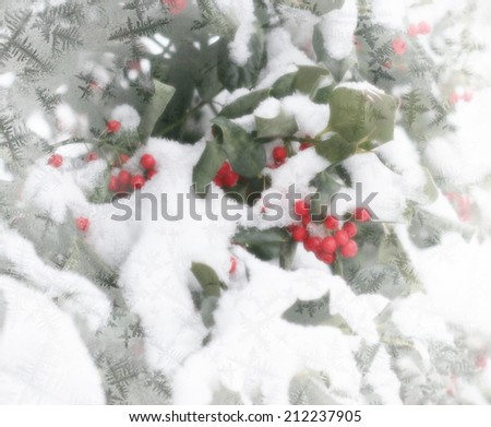 Holly berries and snow Christmas theme background with white frosty edges
