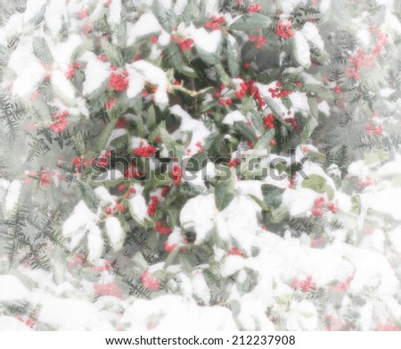 Holly berries and snow Christmas theme background with white frosty edges